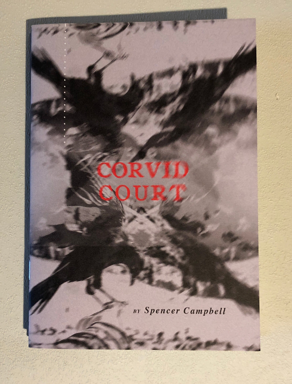 Corvid Court