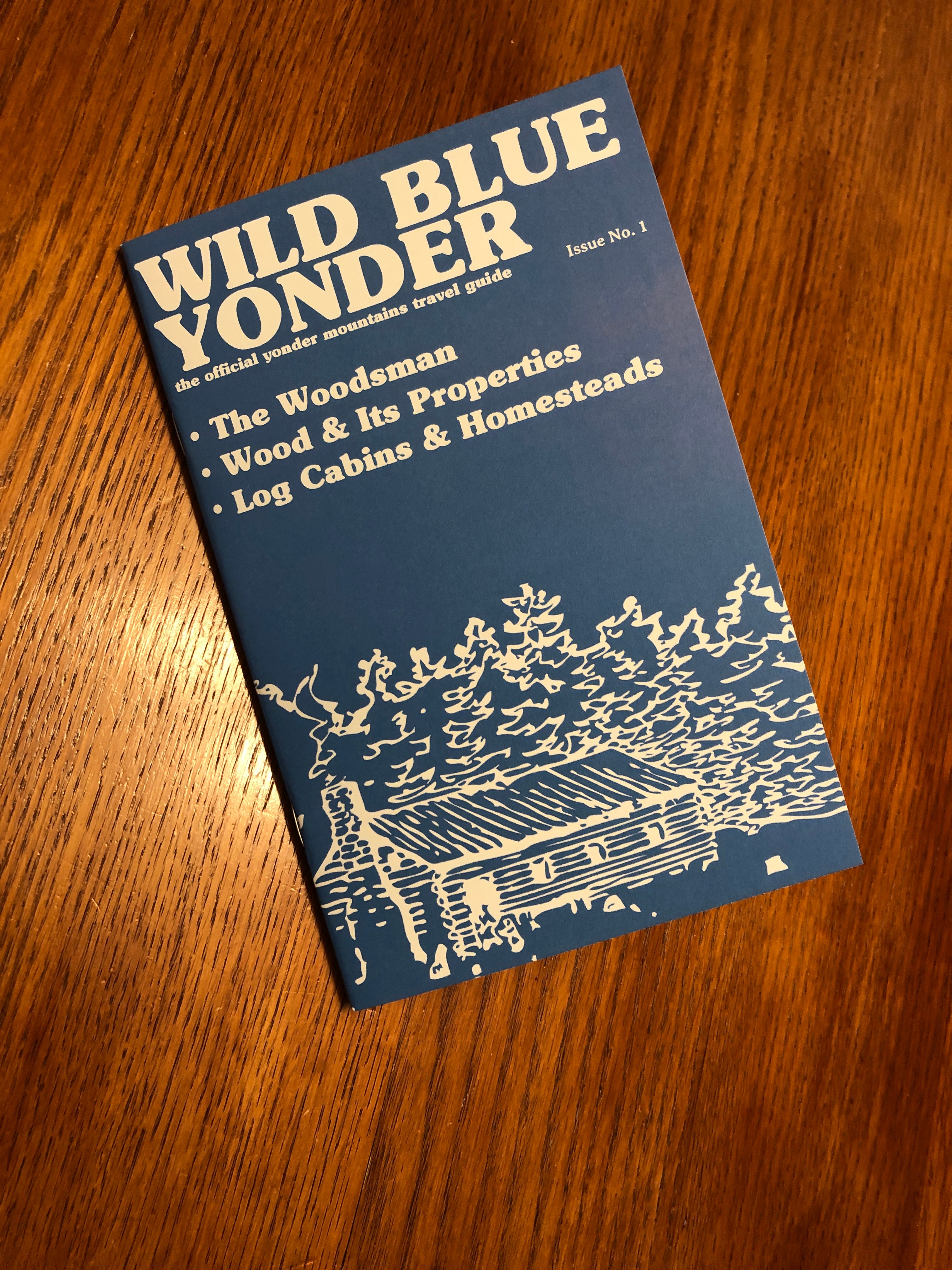 Wild Blue Yonder - Issue 1 + Pamphlets