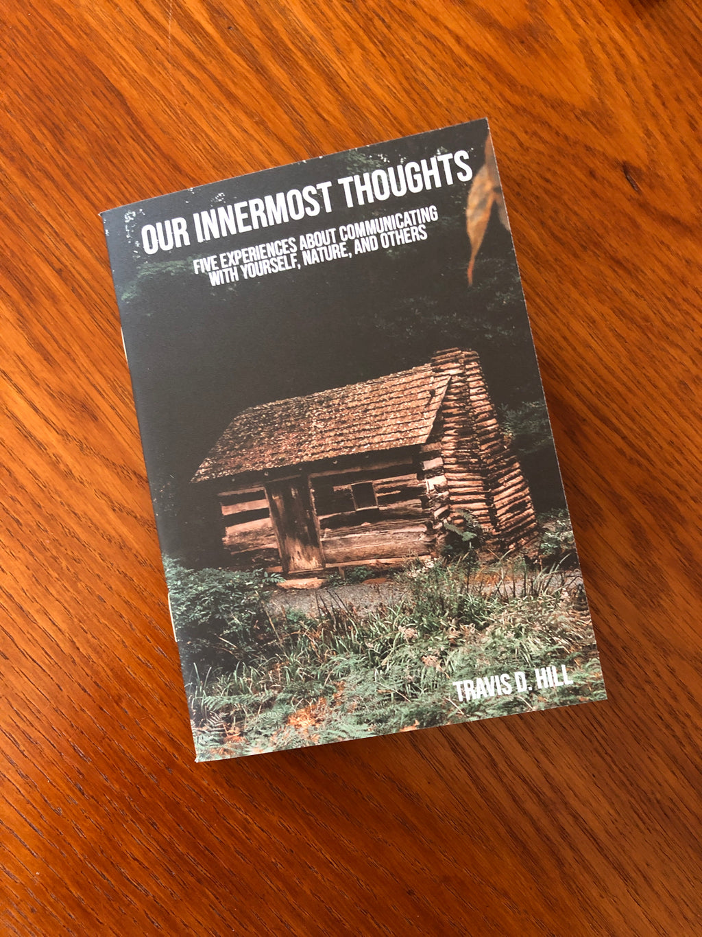 our innermost thoughts a role playing game zine by Travis Hill. 